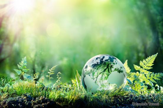 Climate-friendly move? No problem with confern!