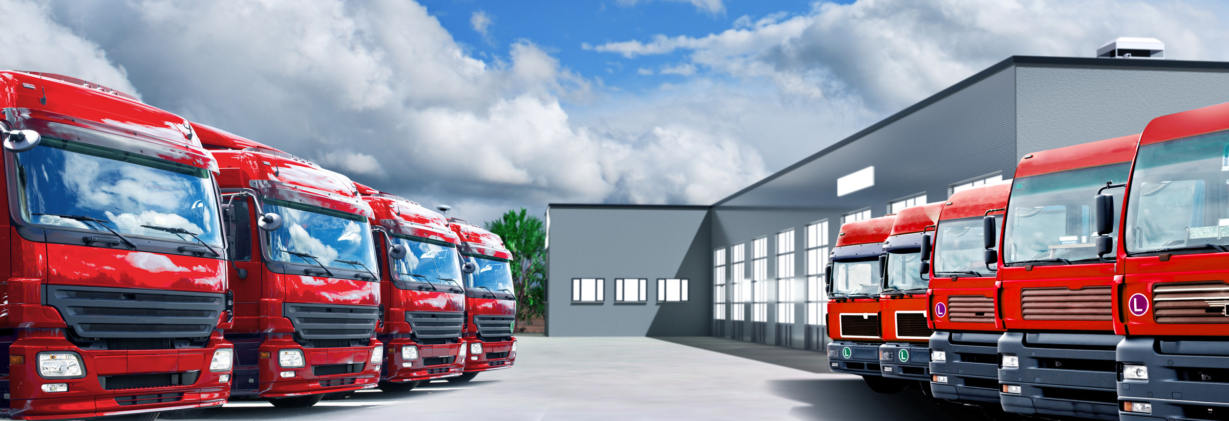 confern & Euromovers - a strong moving network